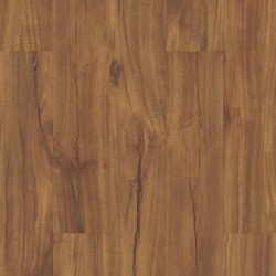 COREtec Plus 5" - Gold Coast Acacia